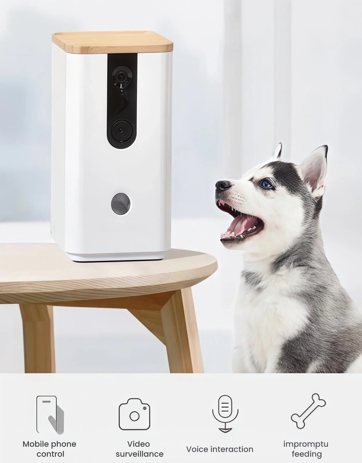Siberian husky interacting with the DOGNESS 8065 pet camera on a wooden table, highlighting voice chat and 720P video surveillance.