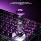 GravaStar V75 Lite customisable RGB lighting effects across the 75% layout