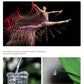 Dynamic photo sequence captured with the Canon EOS R100 at 6.5 frames per second, illustrating its fast continuous shooting capability for sports and motion photography.