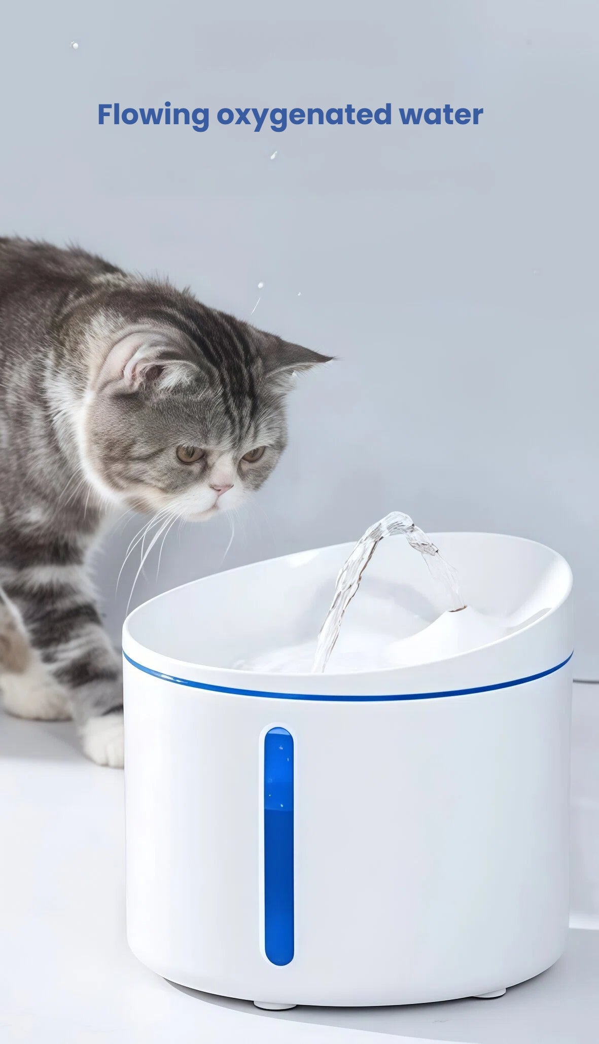 Gray tabby cat approaching Dogness automatic water fountain with flowing oxygenated water, promoting natural drinking behavior and hydration