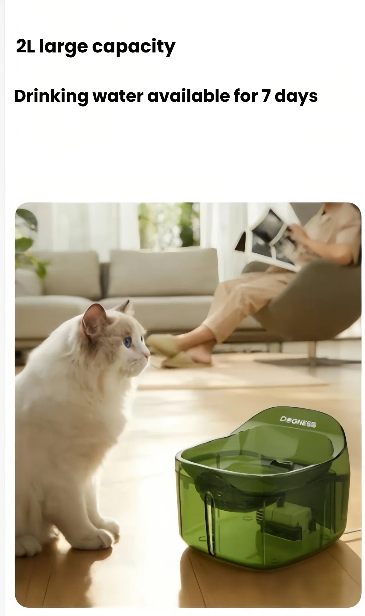 White cat looking at a green Dogness Smart Fountain with 2L large capacity – provides sufficient drinking water for cats for up to 7 days without refilling