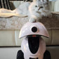 Long-haired cat resting paw on top of Dogness Smart iPet Robot, demonstrating pet-safe design and interactive engagement in living room setting