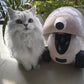 Fluffy white cat sitting beside Dogness Smart iPet Robot in home environment, showcasing compatibility with cats and automatic feeding system