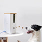 Black-and-white dog catching treats launched by the DOGNESS 8065 Wi-Fi camera on a white table, showcasing remote treat tossing.