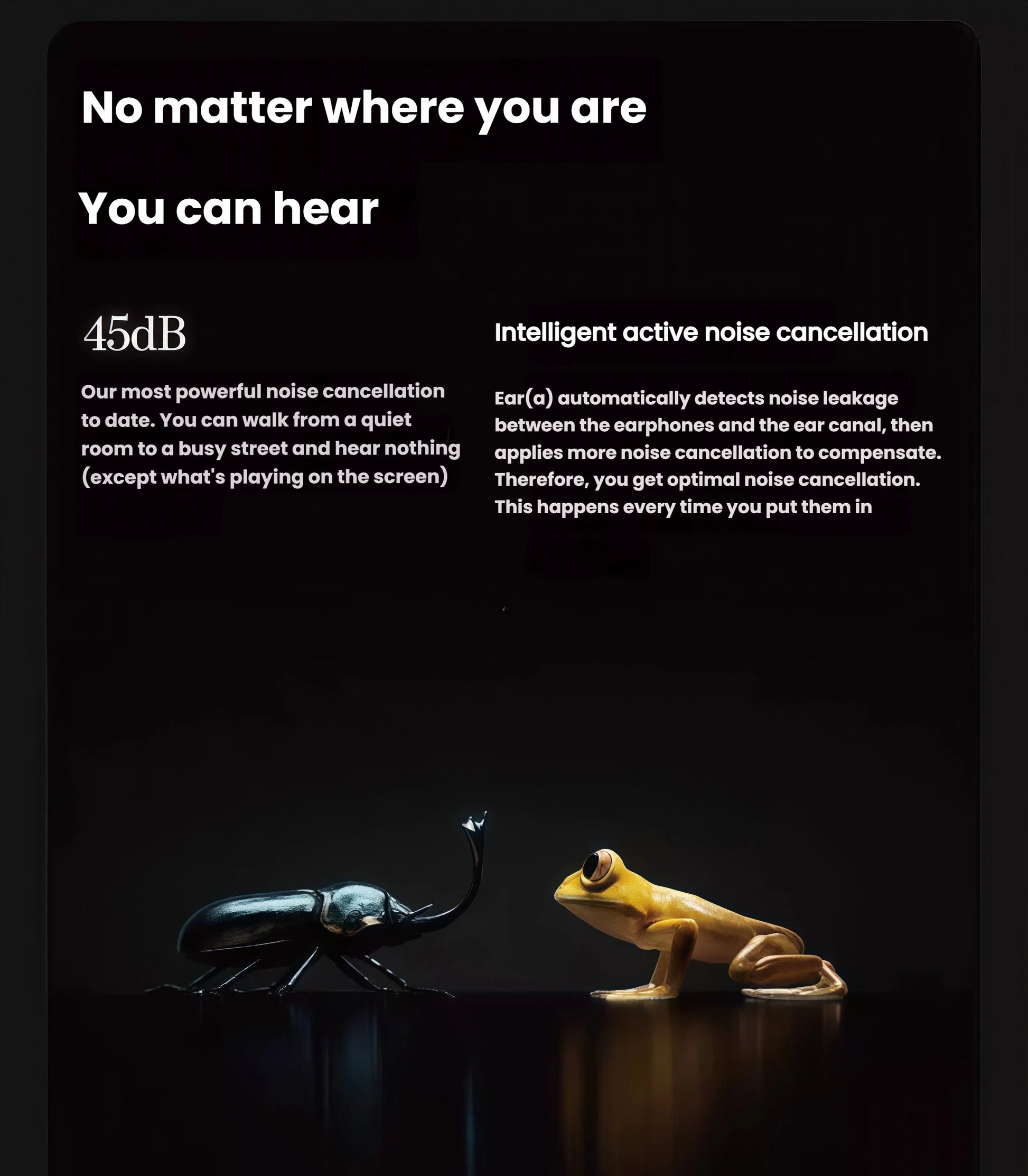 Creative visual of a frog and beetle facing each other under dark lighting, symbolizing the powerful 45dB intelligent ANC of NOTHING Ear (a), which automatically detects and cancels ambient noise for immersive audio.