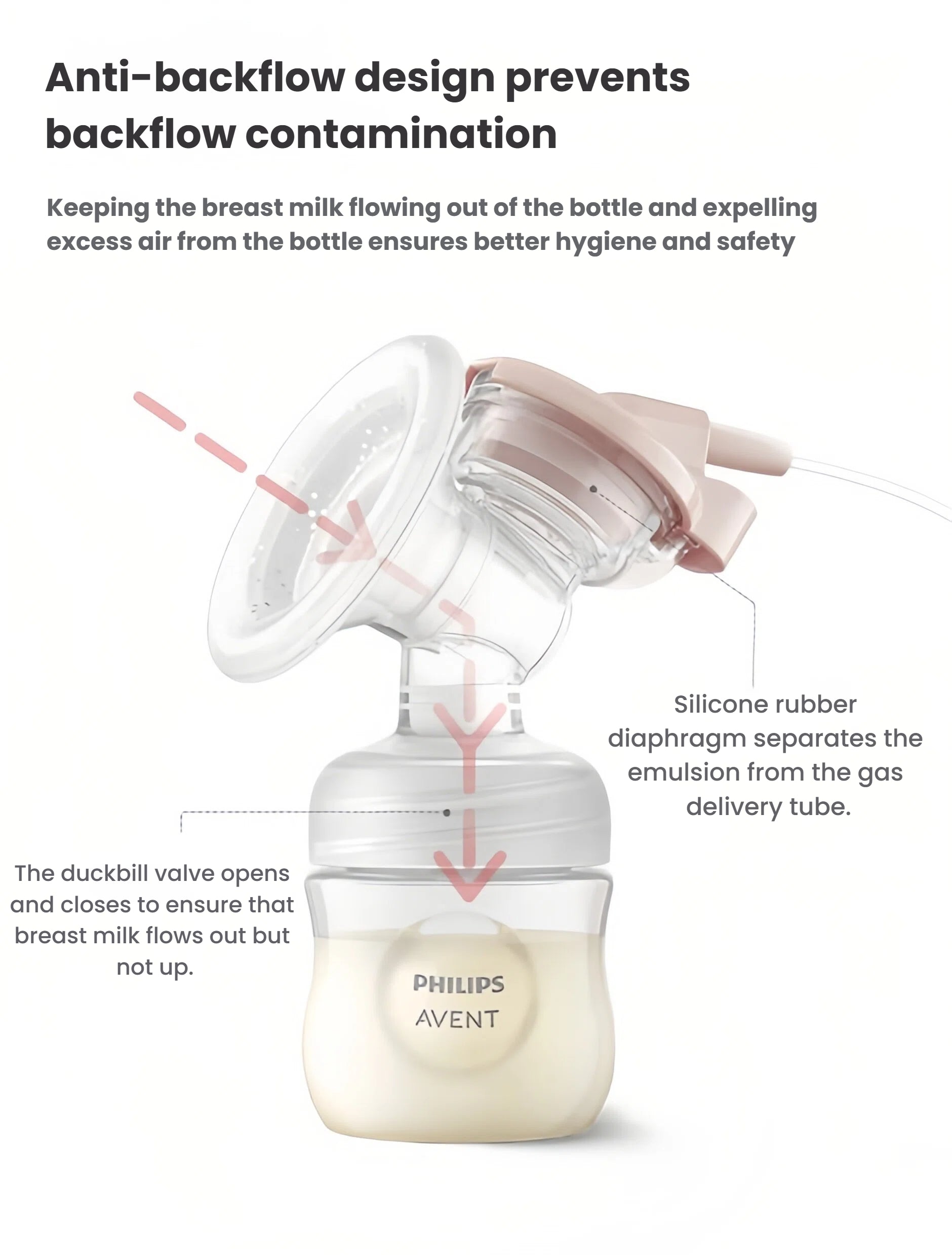 Diagram of Philips Avent breast pump anti-backflow system showing duckbill valve and silicone rubber diaphragm that prevent milk from flowing back into tubing, ensuring hygiene.
