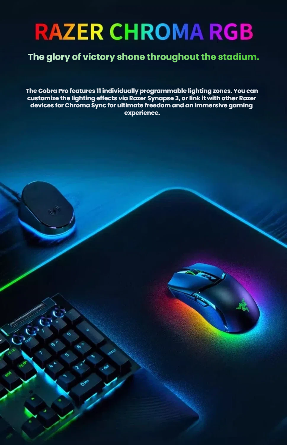 Razer Cobra Pro Wireless gaming mouse with HyperSpeed dongle and USB-C cable