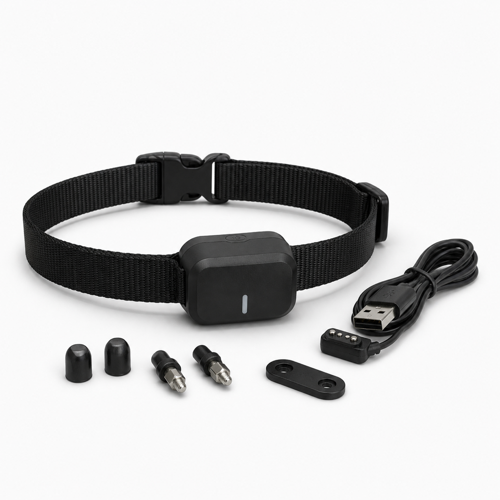 PetSafe Stay + Play Wireless Fence Add-A-Dog Receiver Collar
